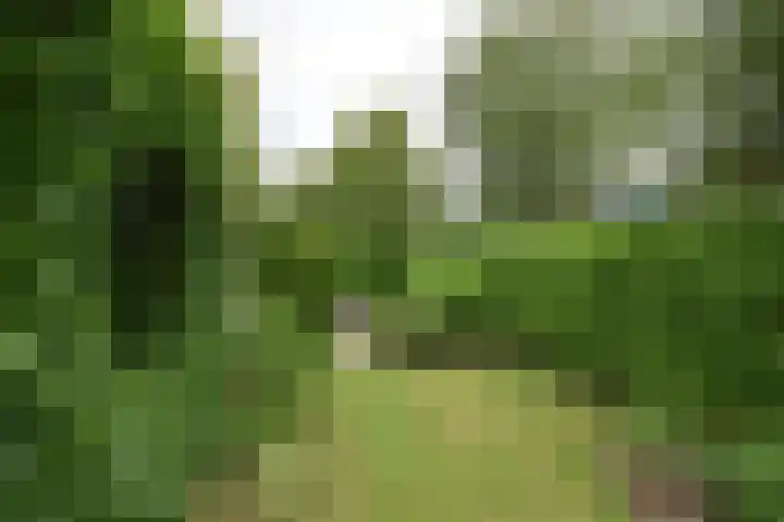 Koutenburg 1 Garyp thumbnail 13
