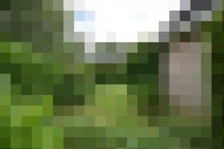 Koutenburg 1 Garyp thumbnail 17
