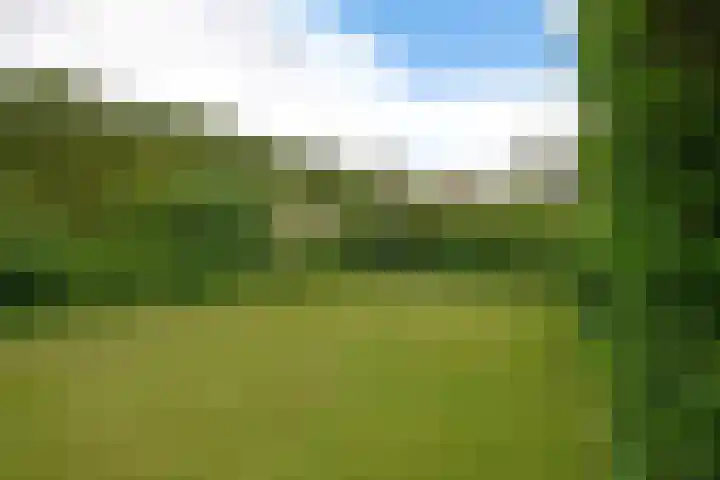 Koutenburg 1 Garyp thumbnail 18