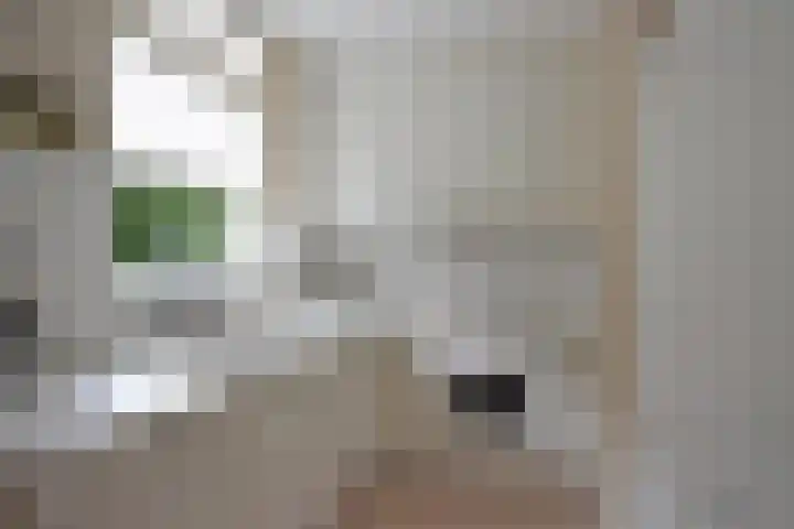 Koutenburg 1 Garyp thumbnail 31