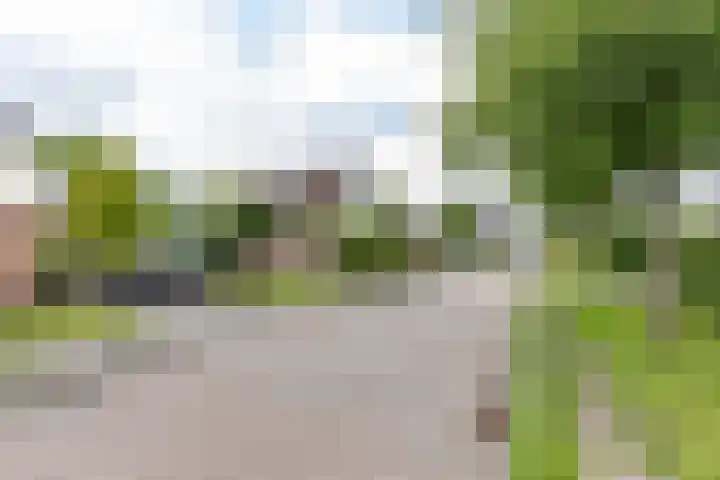 Koutenburg 45 Garyp thumbnail 10