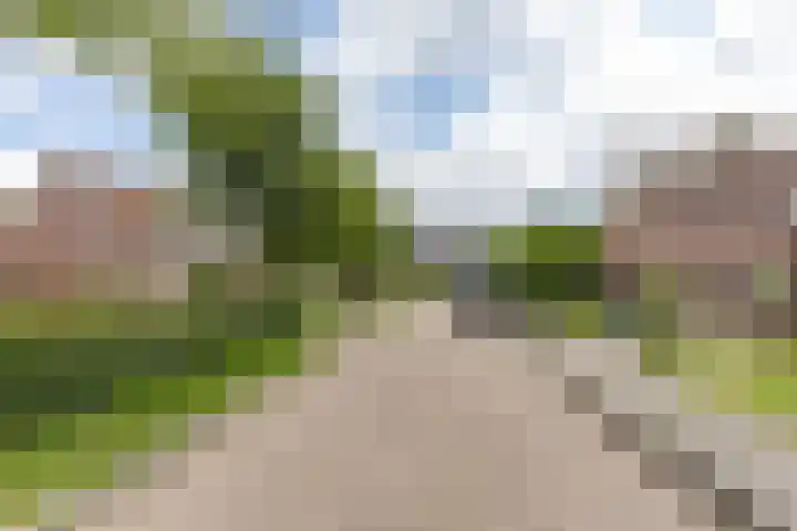 Koutenburg 45 Garyp thumbnail 11