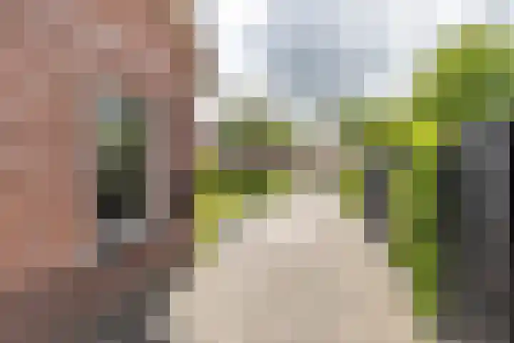 Koutenburg 45 Garyp thumbnail 13