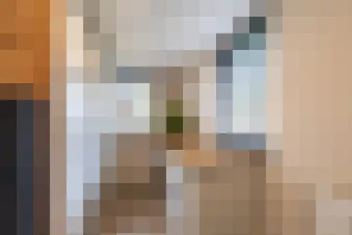 Koutenburg 45 Garyp thumbnail 33