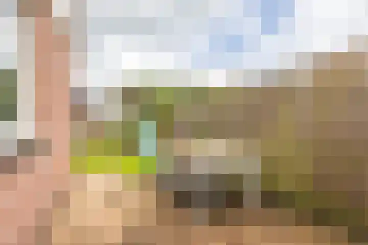 Koutenburg 45 Garyp thumbnail 37