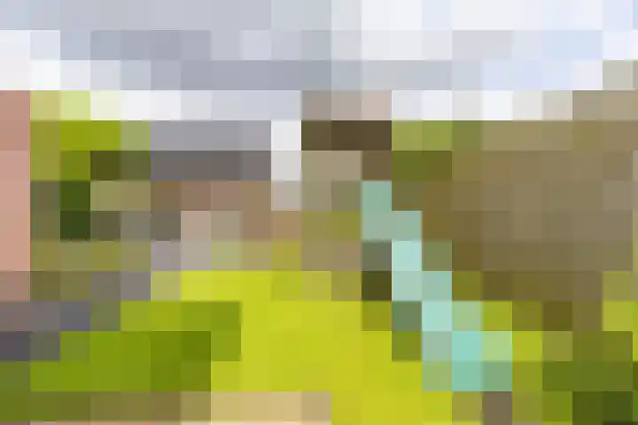 Koutenburg 45 Garyp thumbnail 38