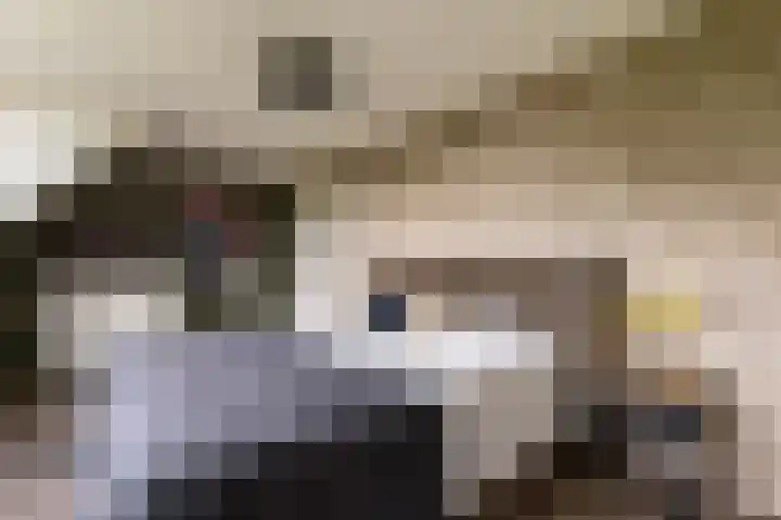 Koutenburg 45 Garyp thumbnail 4
