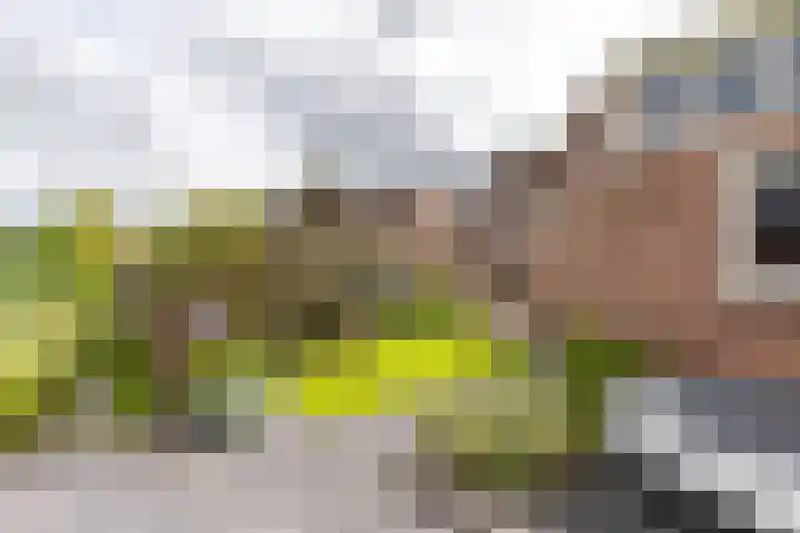 Koutenburg 45 Garyp thumbnail 42
