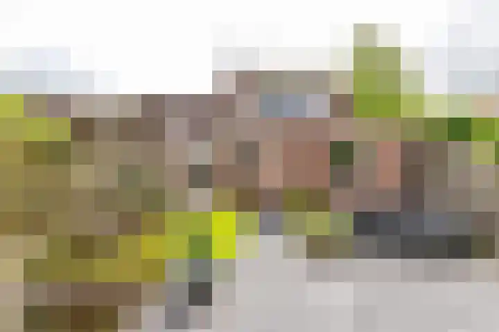 Koutenburg 45 Garyp thumbnail 43