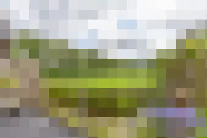 Koutenburg 45 Garyp thumbnail 45