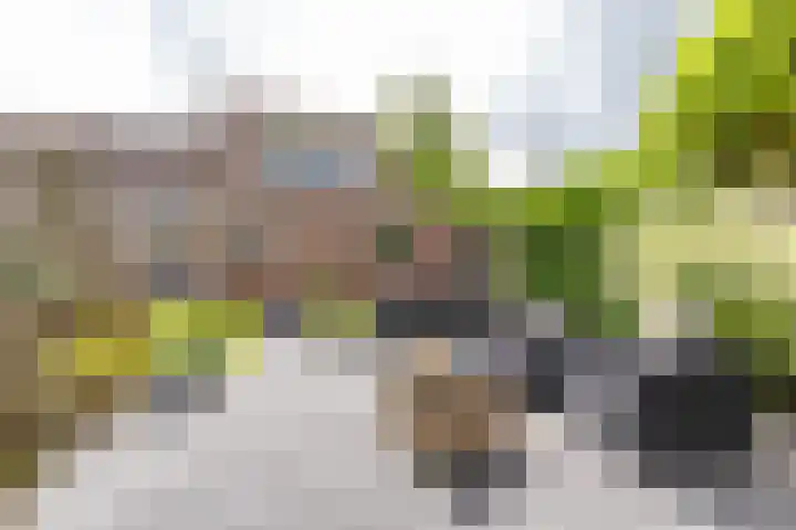 Koutenburg 45 Garyp thumbnail 5