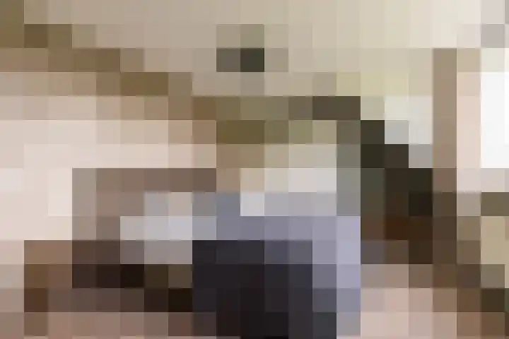 Koutenburg 45 Garyp thumbnail 60