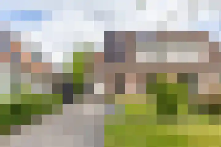 Koutenburg 45 Garyp thumbnail 7