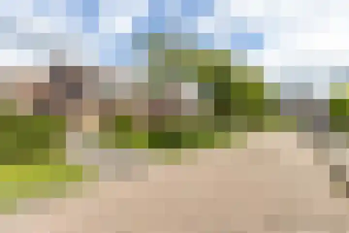 Koutenburg 45 Garyp thumbnail 9