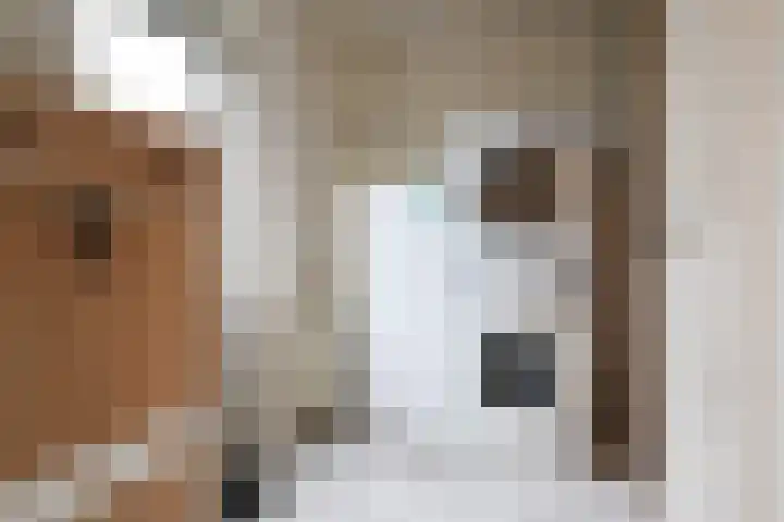 Koutenburg 51 Garyp thumbnail 30