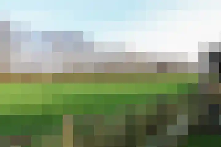 Koutenburg 51 Garyp thumbnail 55