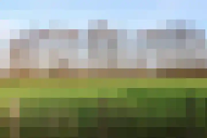 Koutenburg 51 Garyp thumbnail 56