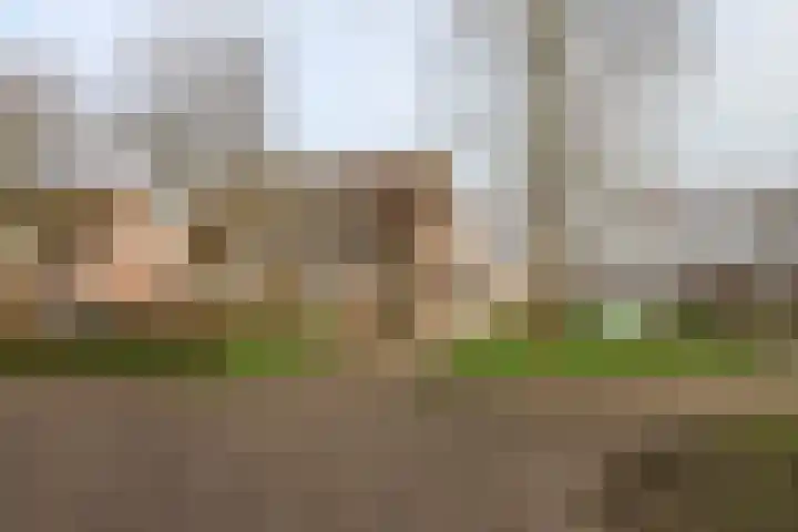 Koutenburg 51 Garyp thumbnail 64