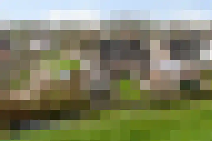 Koutenburg 51 Garyp thumbnail 66