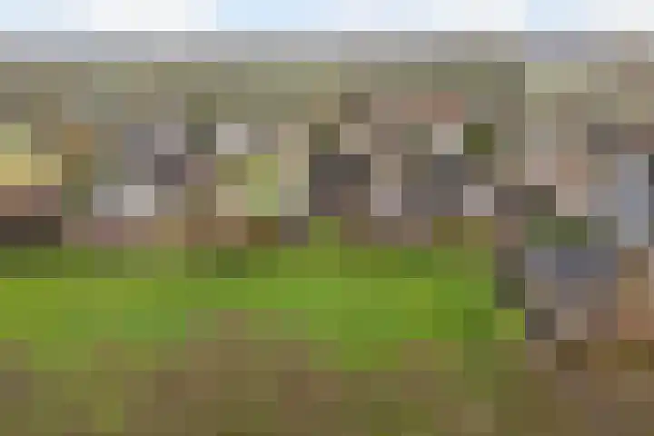 Koutenburg 51 Garyp thumbnail 67