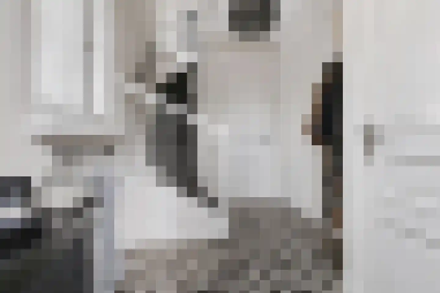 Kouter 118 Gemert thumbnail 10
