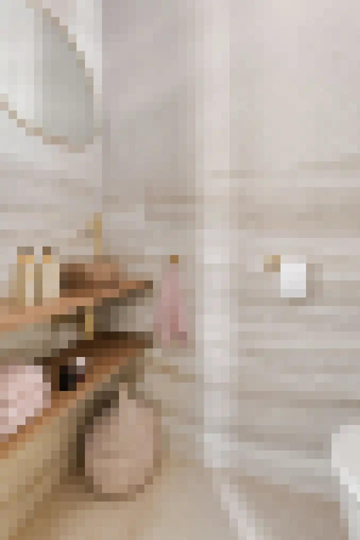 Kouter 118 Gemert thumbnail 12
