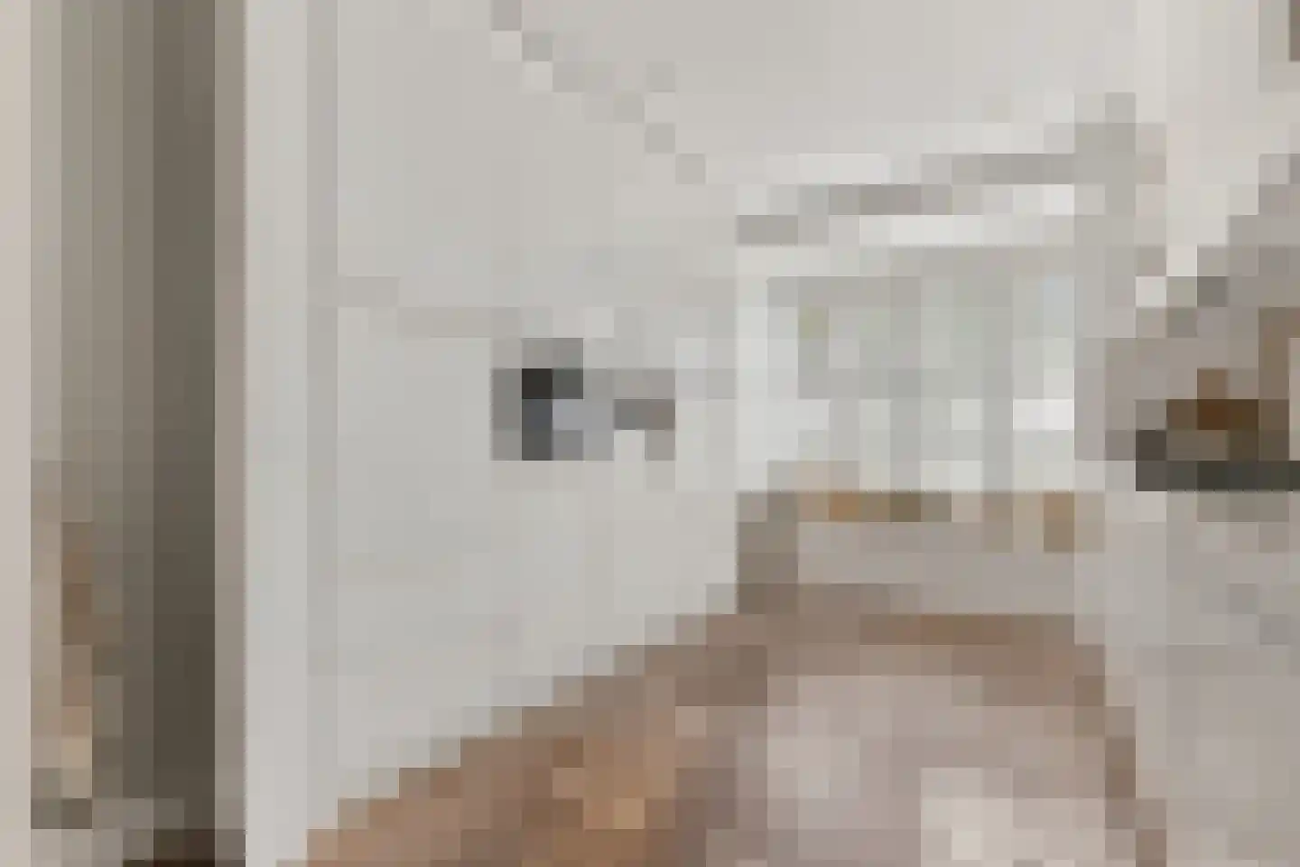 Kouter 118 Gemert thumbnail 15