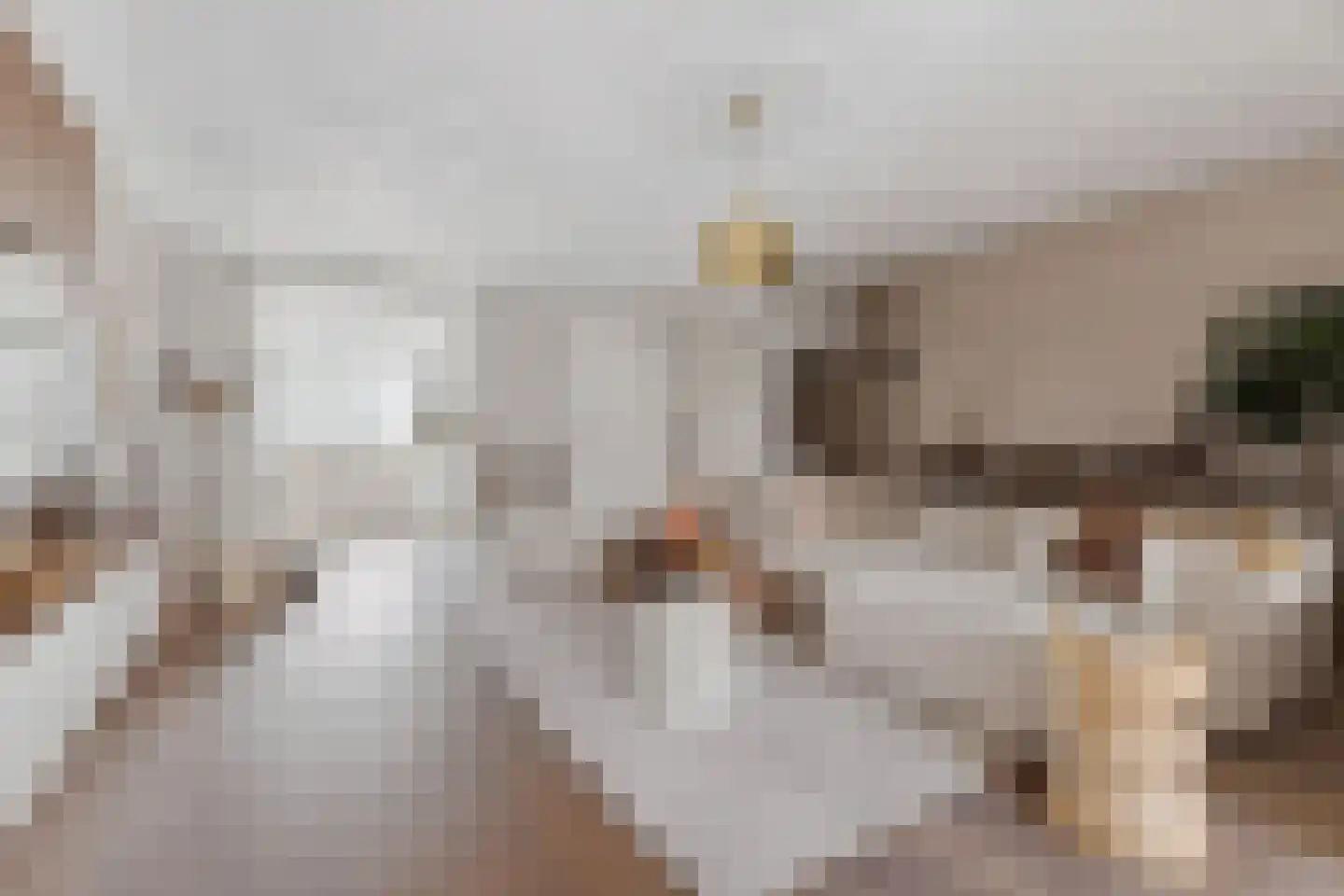 Kouter 118 Gemert thumbnail 18