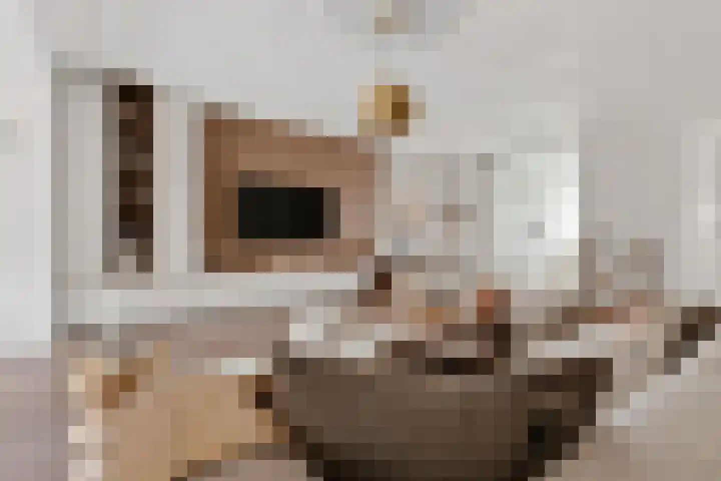 Kouter 118 Gemert thumbnail 20