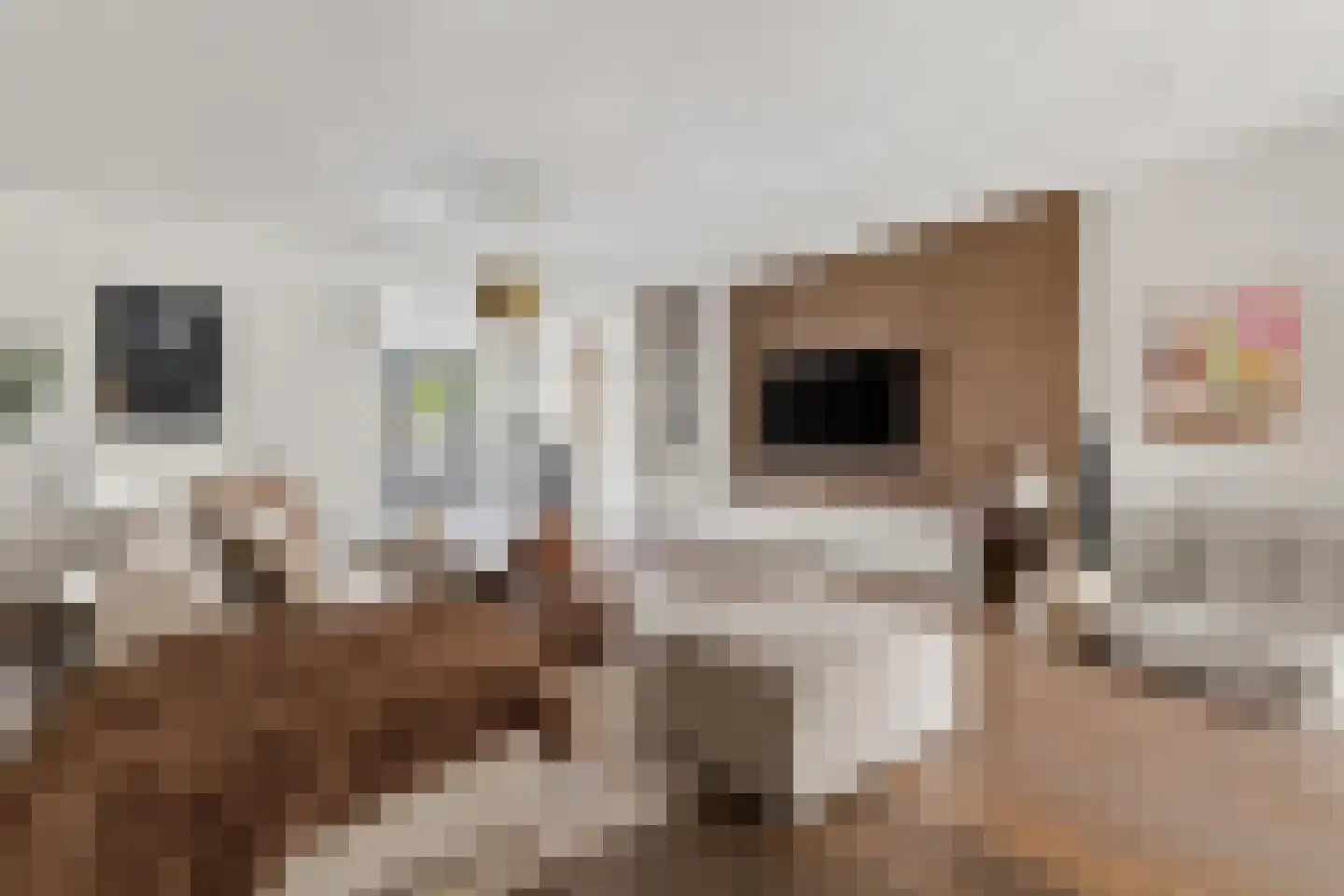 Kouter 118 Gemert thumbnail 21