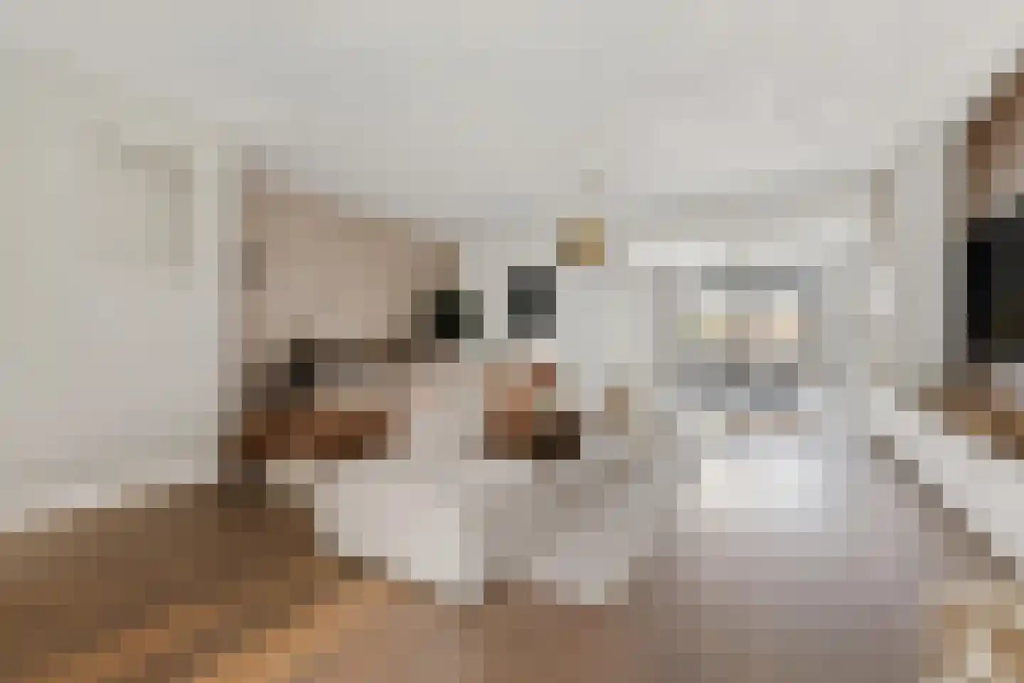 Kouter 118 Gemert thumbnail 22
