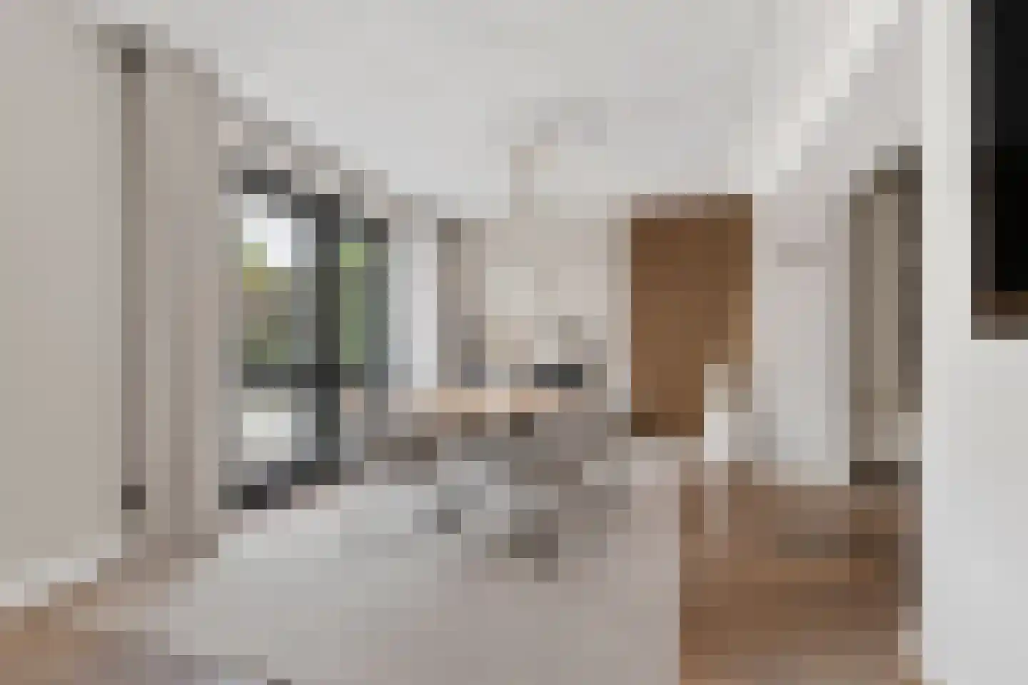 Kouter 118 Gemert thumbnail 24