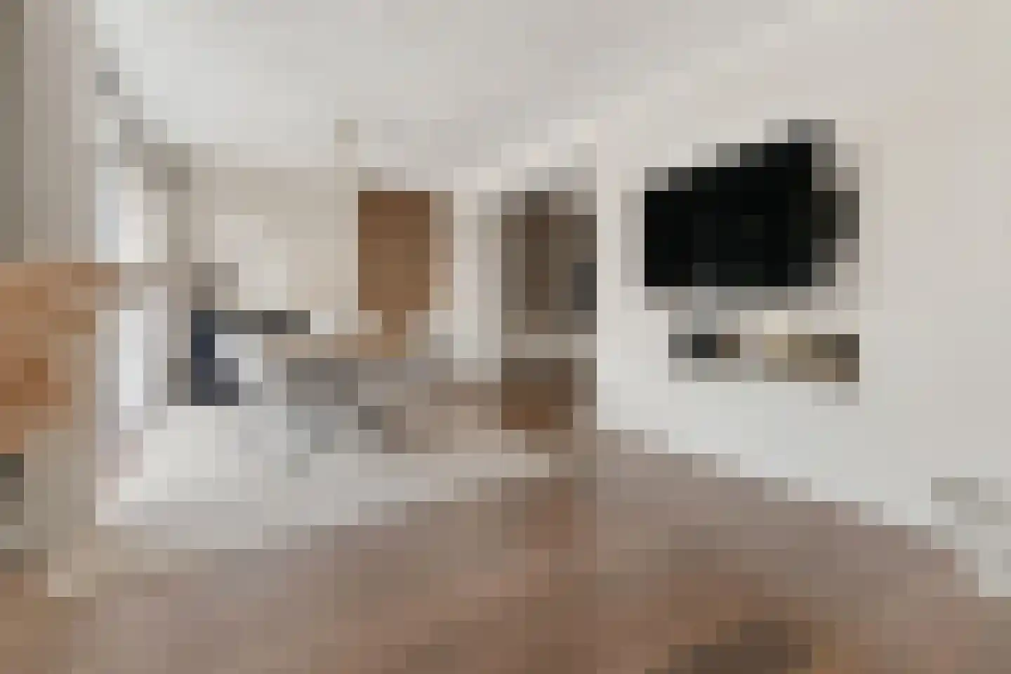 Kouter 118 Gemert thumbnail 26