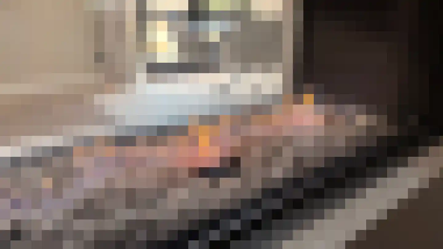 Kouter 118 Gemert thumbnail 28
