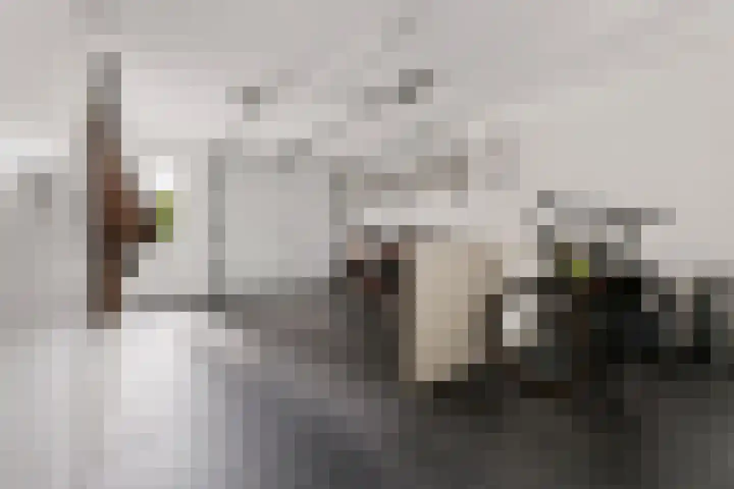 Kouter 118 Gemert thumbnail 29