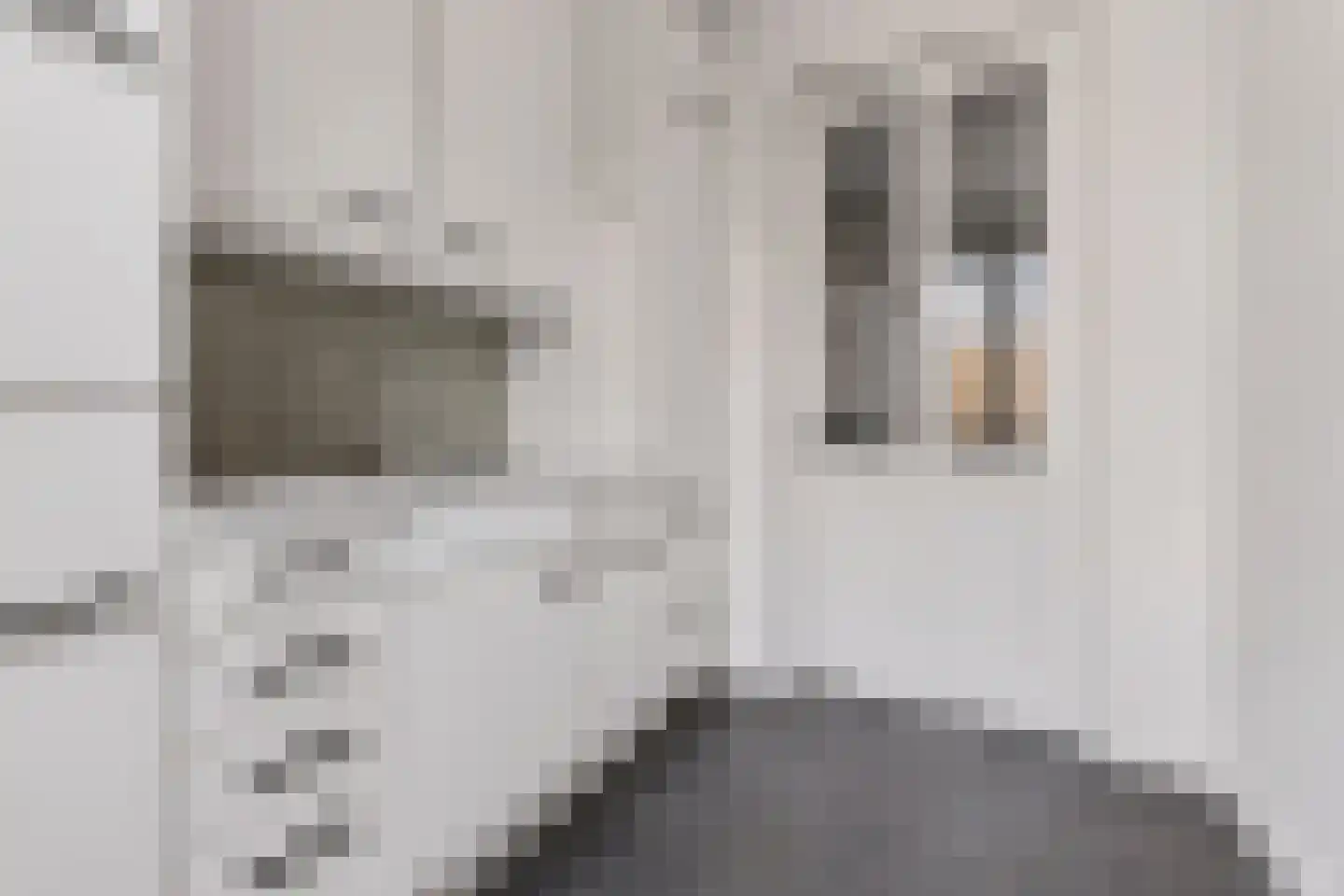 Kouter 118 Gemert thumbnail 31