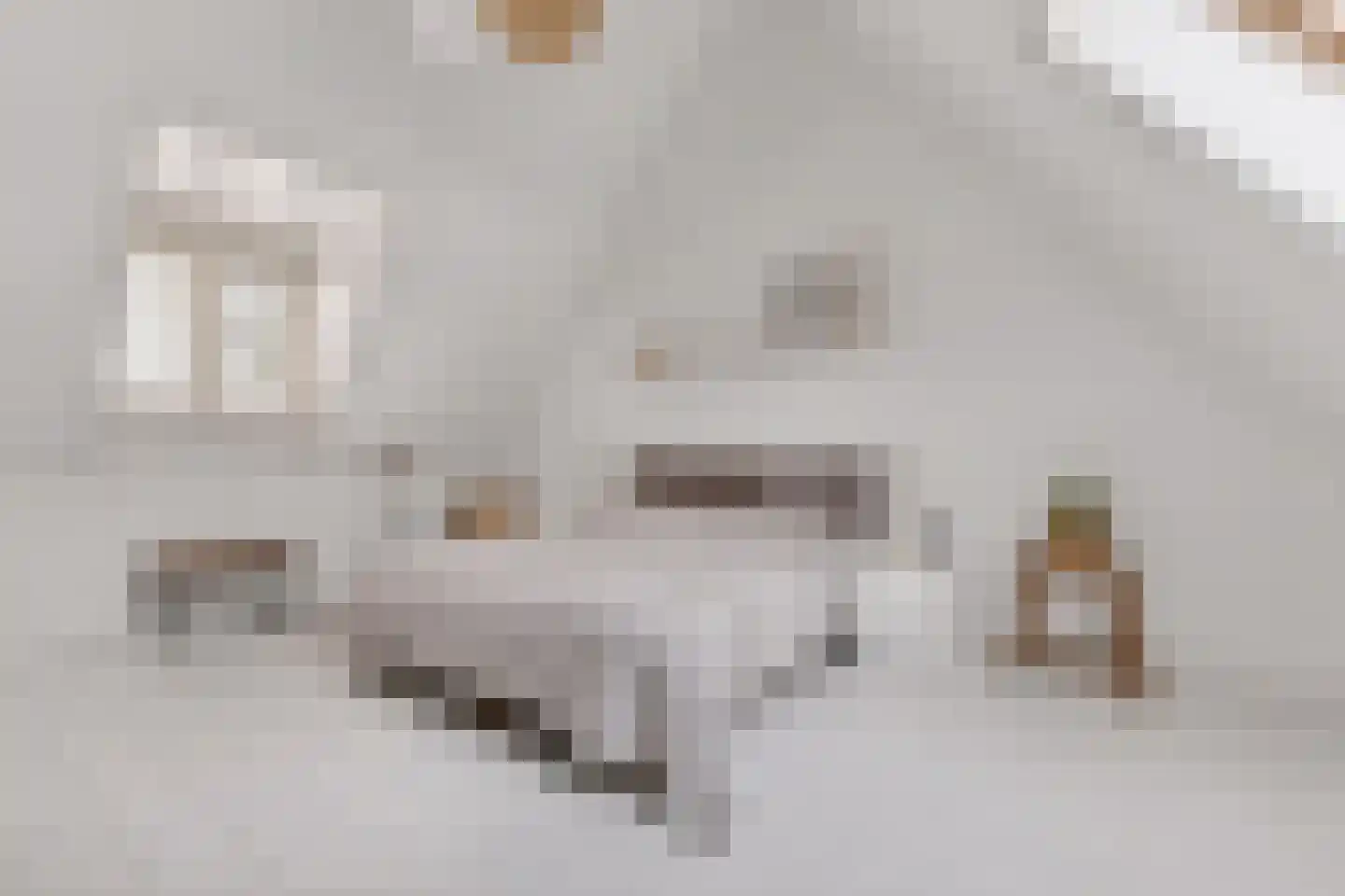 Kouter 118 Gemert thumbnail 37