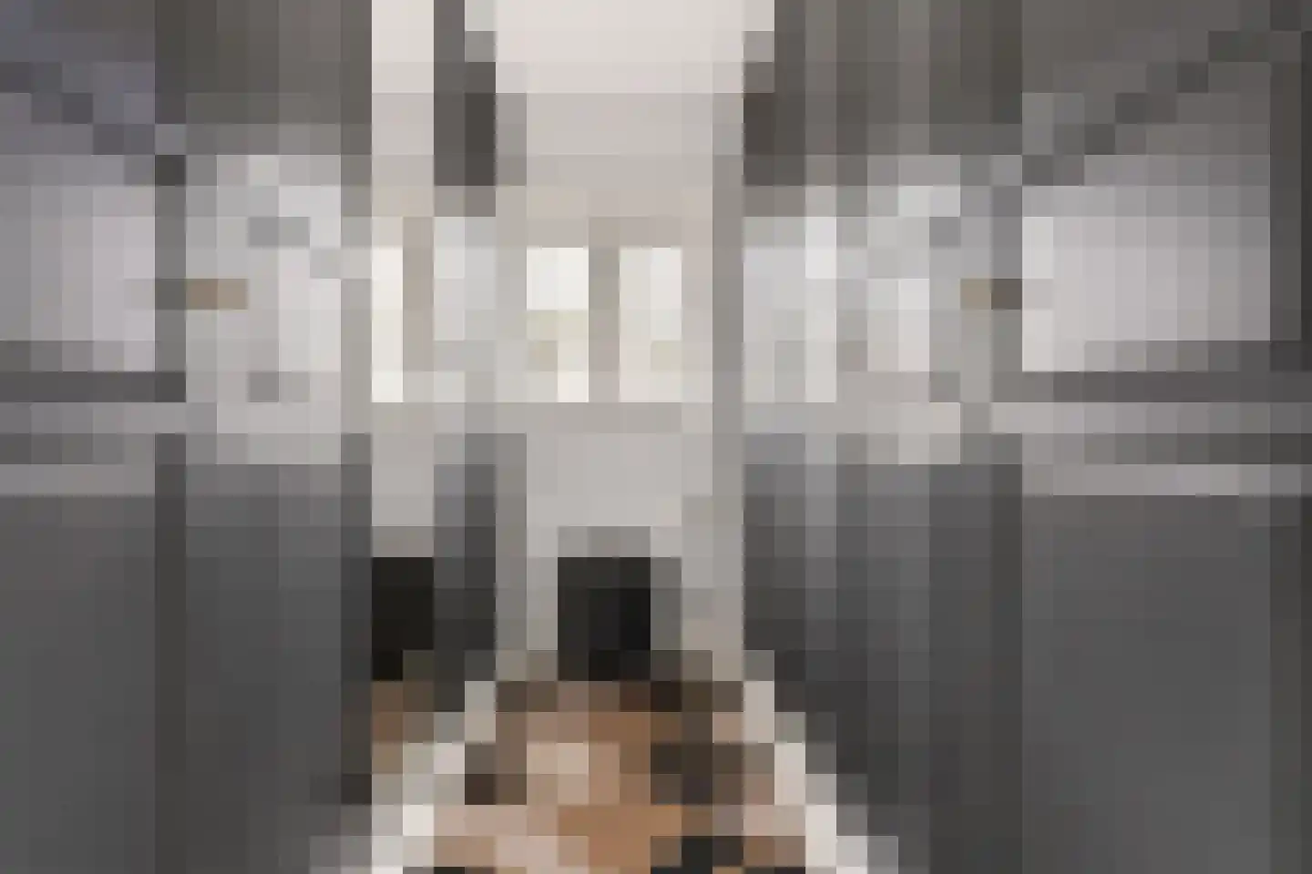 Kouter 118 Gemert thumbnail 39