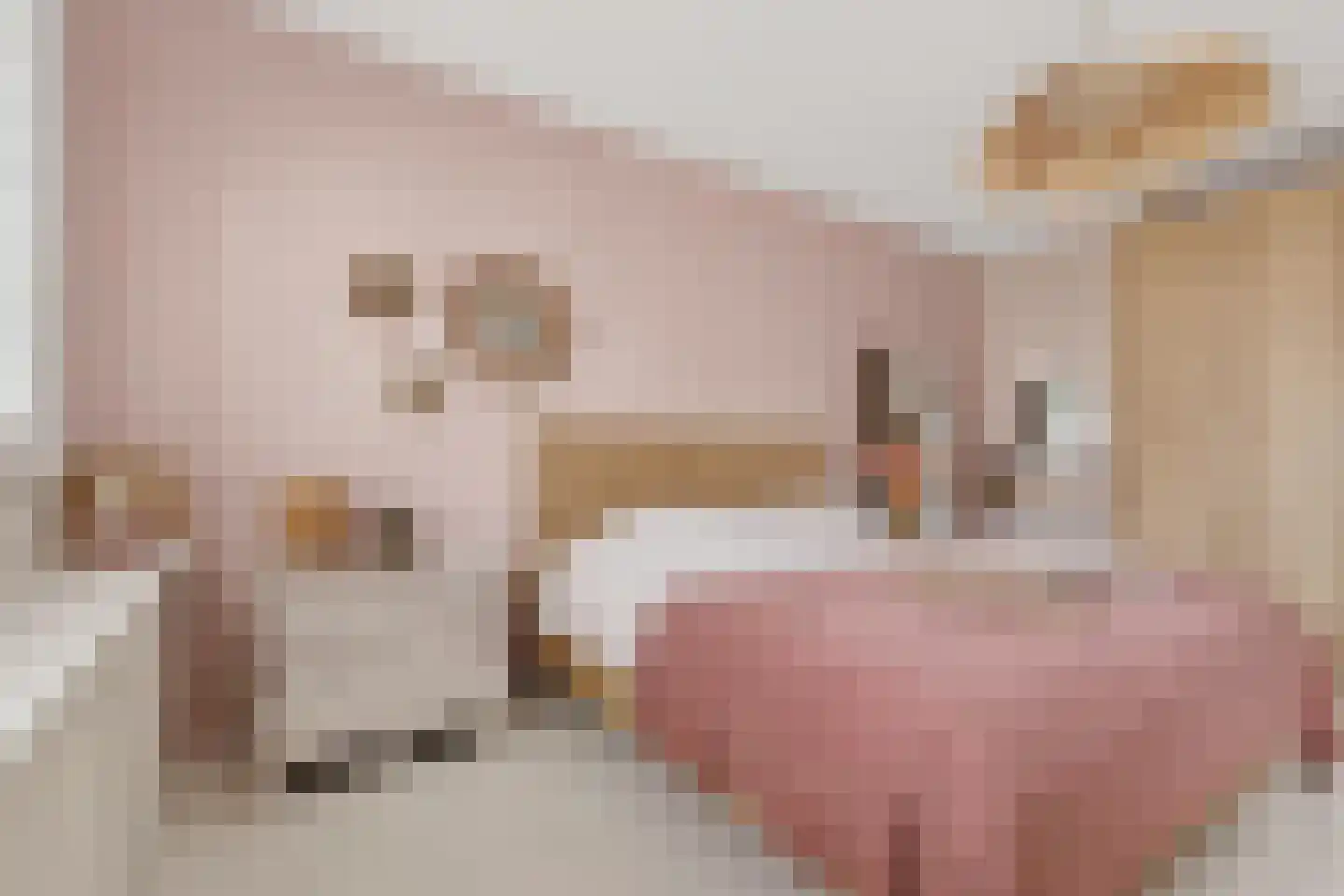 Kouter 118 Gemert thumbnail 42