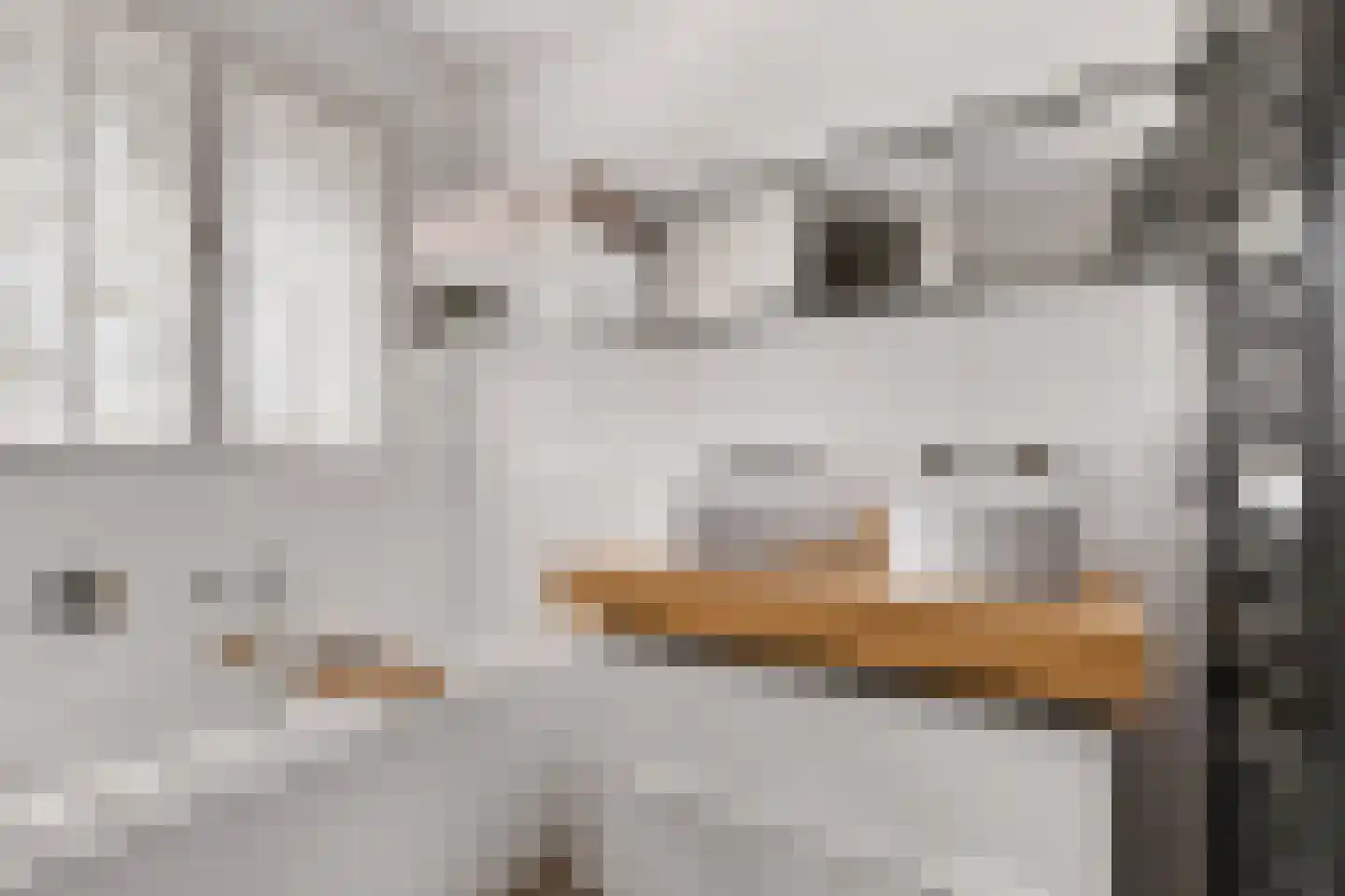 Kouter 118 Gemert thumbnail 47