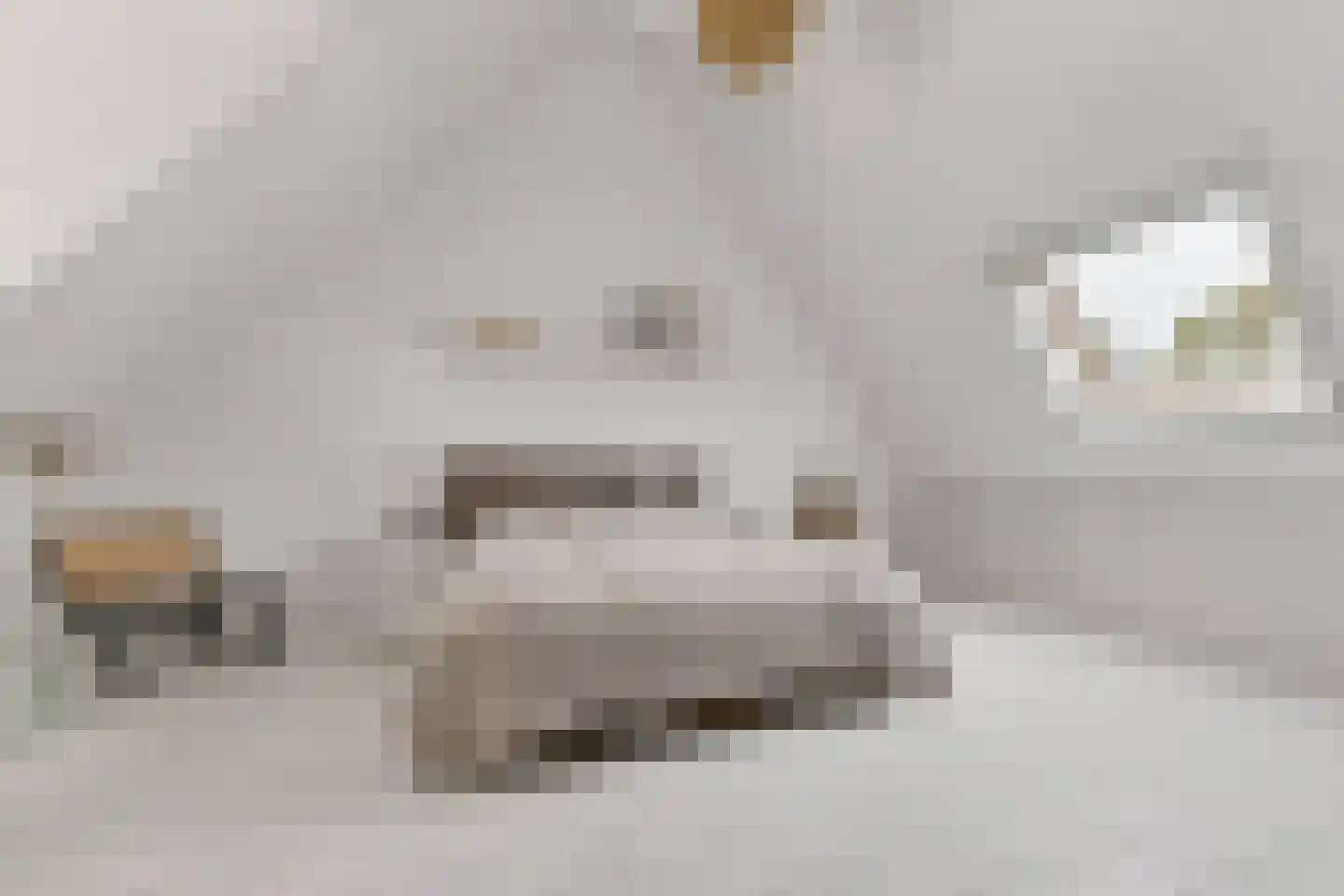 Kouter 118 Gemert thumbnail 5