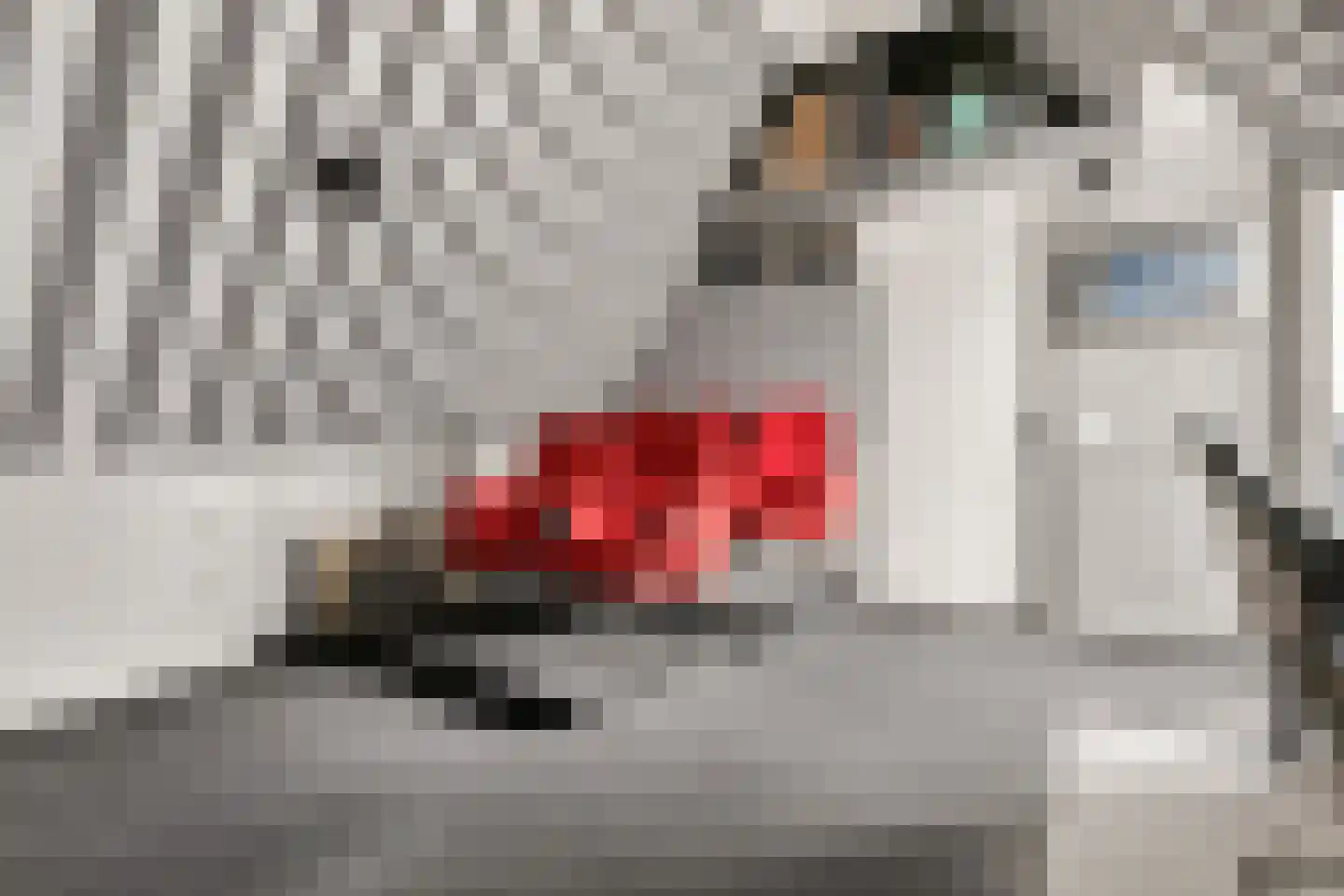 Kouter 118 Gemert thumbnail 53