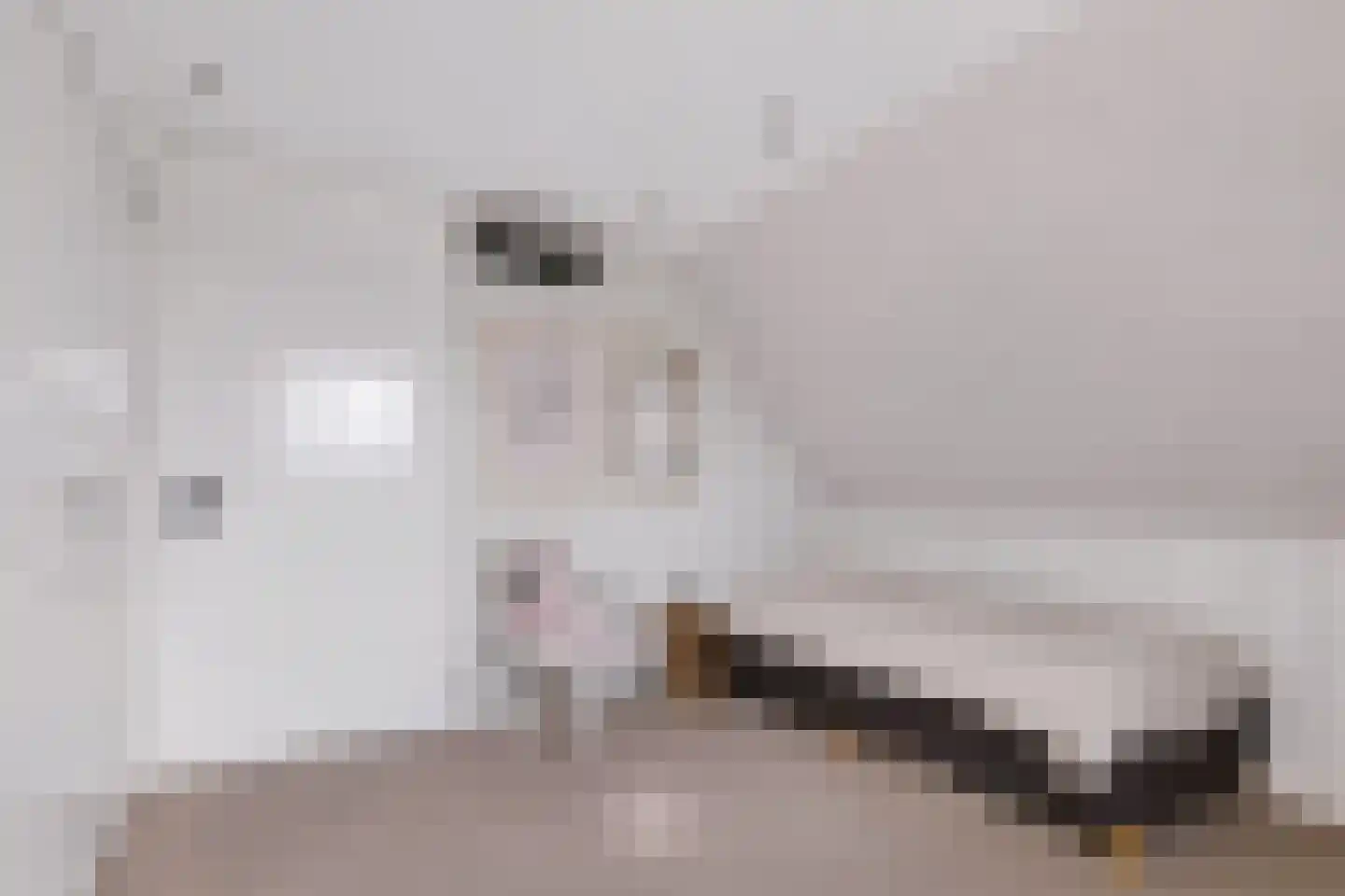 Kouter 118 Gemert thumbnail 55