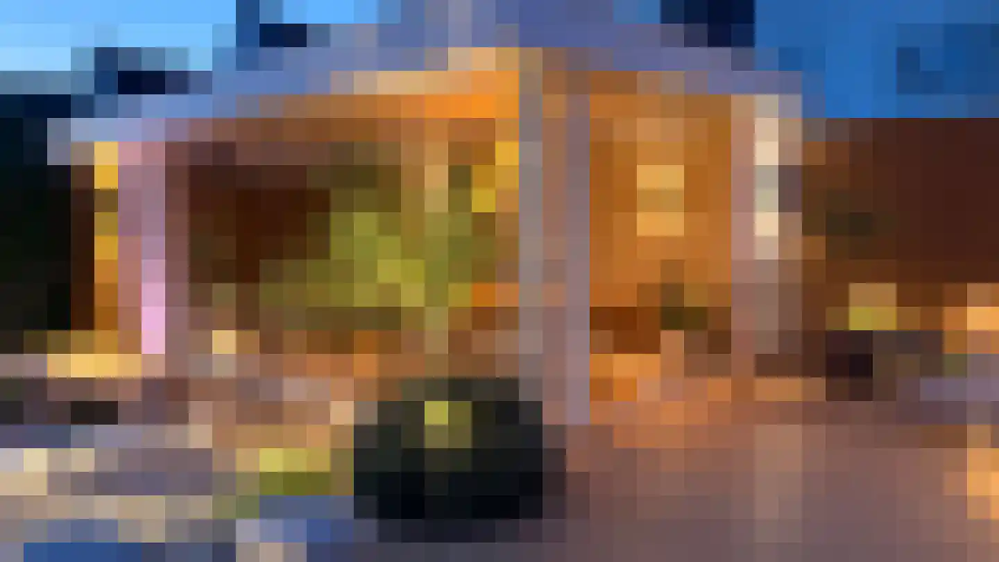 Kouter 118 Gemert thumbnail 69