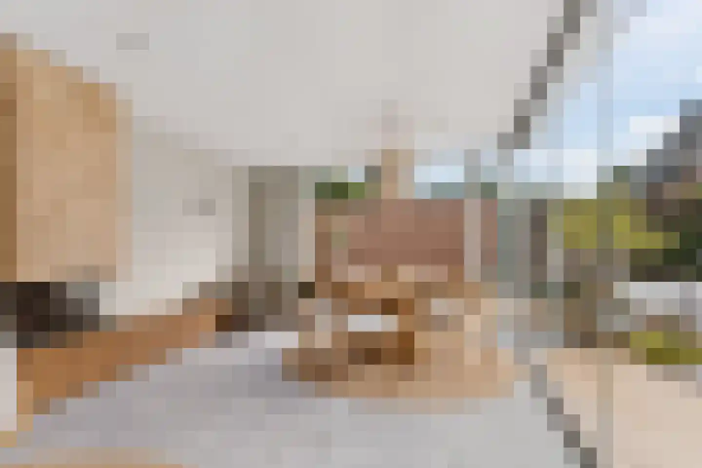 Kouter 118 Gemert thumbnail 72