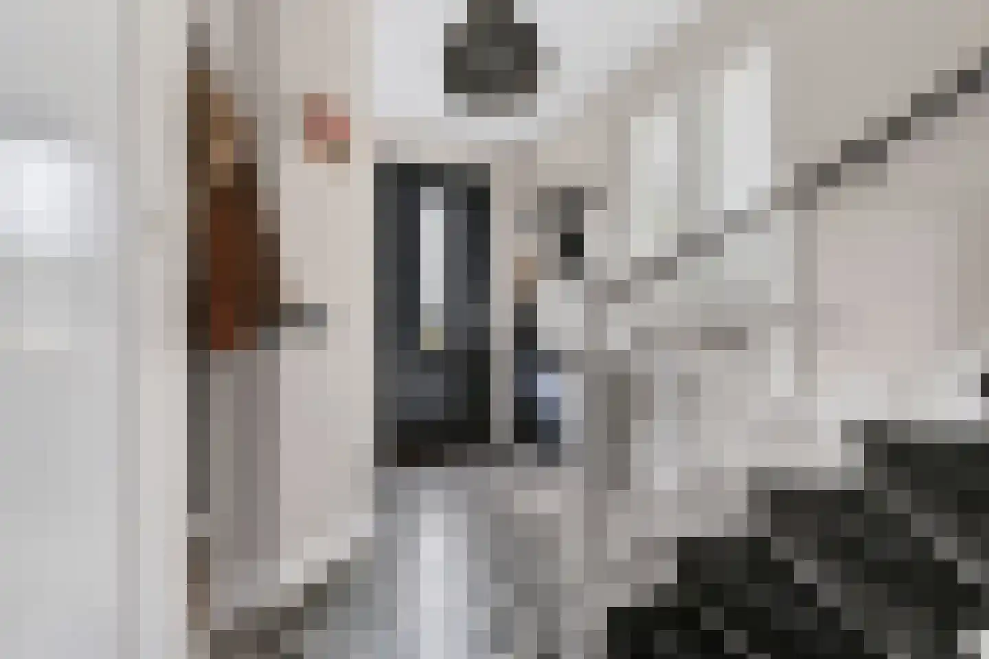 Kouter 118 Gemert thumbnail 9