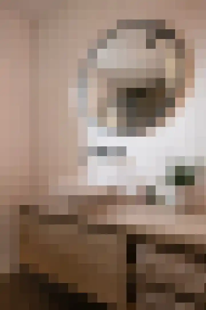 Kouter 16 Voorthuizen thumbnail 14