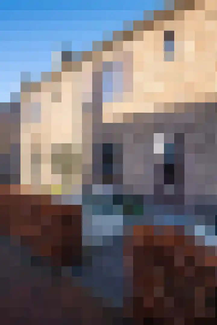 Kouter 16 Voorthuizen thumbnail 24