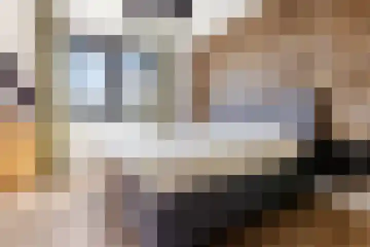 Kouter 25 Voorthuizen thumbnail 22