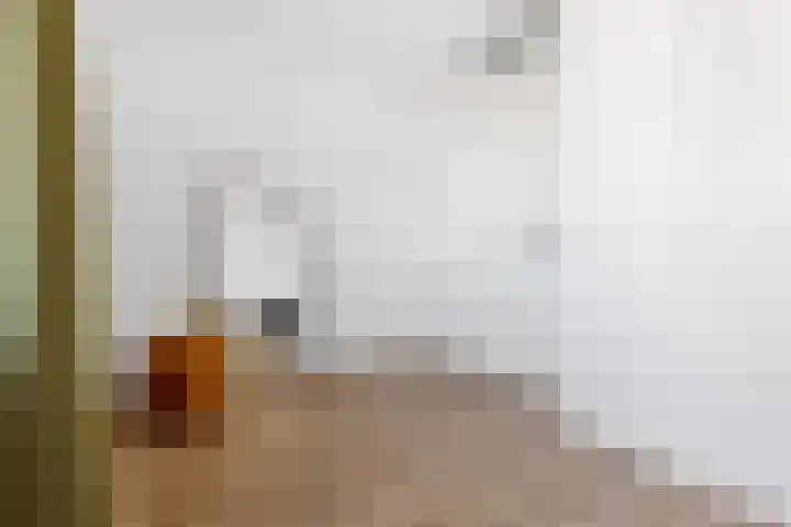Kouter 25 Voorthuizen thumbnail 28